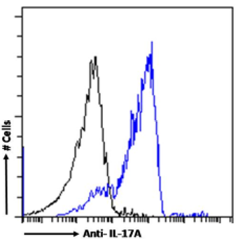Anti-IL-17A [MM17F3]