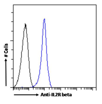 Anti-IL2R beta [5H4]