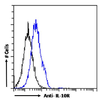 Anti-IL-10R [1B1.3a]