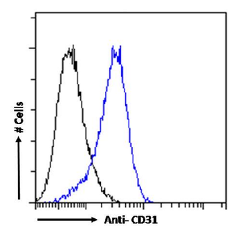 Anti-CD31 [BAG-85D10]
