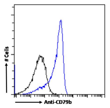 Anti-CD79b [HM79-16]