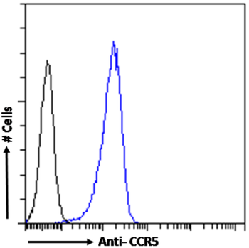 Anti-CCR5 (phosphoserine 349) [E11/19]