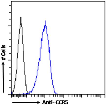 Anti-CCR5 (phosphoserine 337) [V14/2]