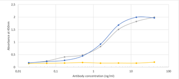 Anti-COVID-19 & SARS-CoV S glycoprotein [CR3022]