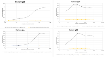 Anti-COVID-19 & SARS-CoV S glycoprotein [CR3022]