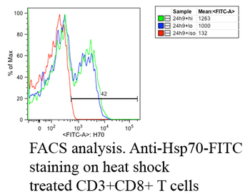 HSP70 Antibody (RPE)