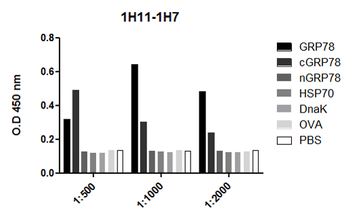GRP78 Antibody (FITC)