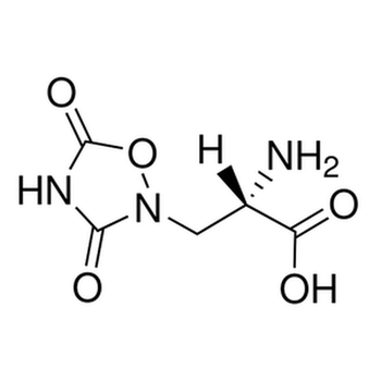 Quisqualic Acid