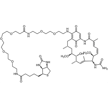 Geldanamycin: Biotin