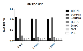 GRP78 Antibody (Biotin)