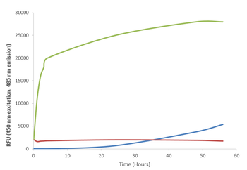Alpha Synuclein A53T Mutant Monomers