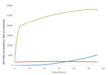 Alpha Synuclein A53T Mutant Pre-formed Fibrils