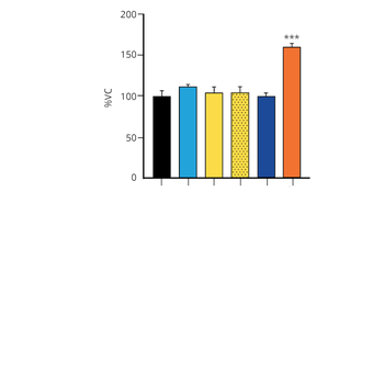 Alpha Synuclein A53T Mutant Pre-formed Fibrils