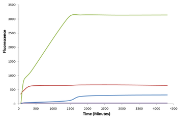 Alpha Synuclein Monomers