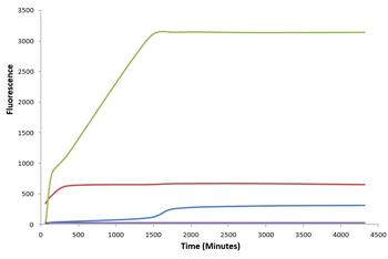 Alpha Synuclein Pre-formed Fibrils