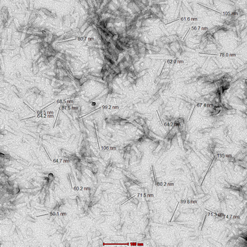 Alpha Synuclein Pre-formed Fibrils