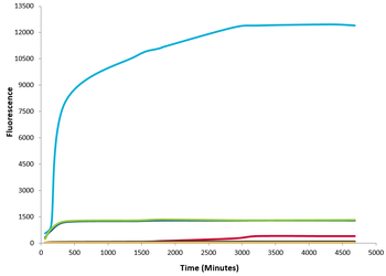 Alpha Synuclein Monomers