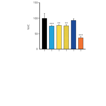 Alpha Synuclein Monomers