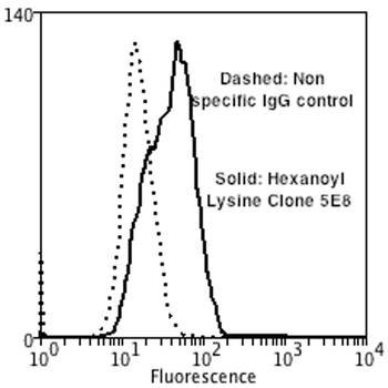 Hexanoyl-Lysine adduct Antibody (HRP)