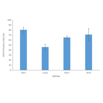HSP70 Antibody (FITC)