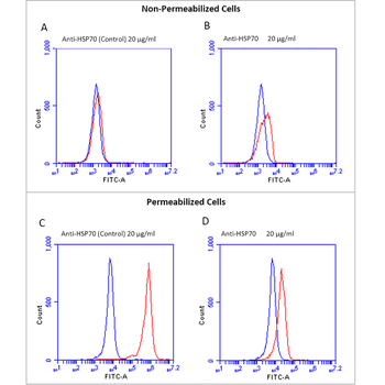 HSP70 Antibody (PerCP)