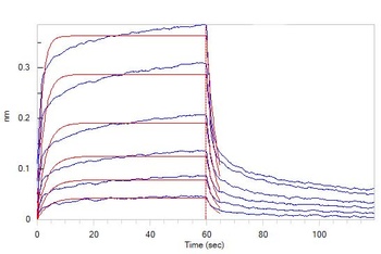 Mouse IFN-alpha / beta R2 Protein, His Tag