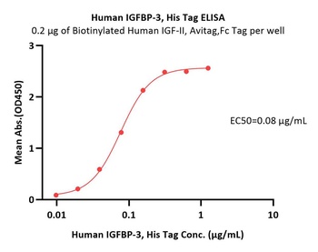 Human IGFBP-3 Protein, His Tag