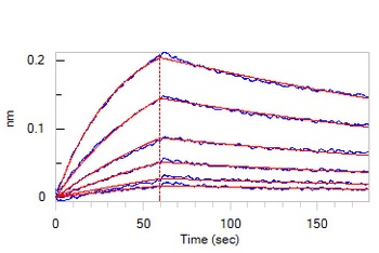 Human IFN-alpha 1 Protein, Fc Tag