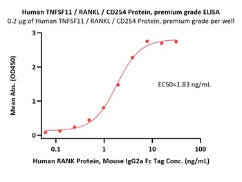 Human TNFSF11 Protein