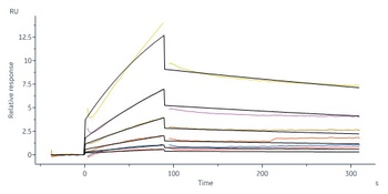 Human IL-18 R1 Protein, Fc-Avi Tag (Biotin)