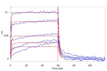 Human CD131 Protein, Fc Tag