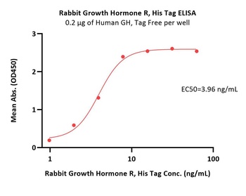 Rabbit Growth Hormone R Protein, His Tag