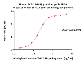 Human SCF Protein