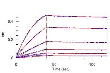 Human IL-10 R alpha Protein, Fc Tag