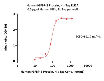 Human IGFBP-2 Protein, His Tag