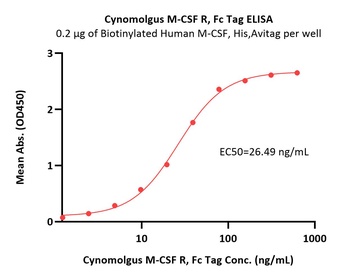 Cynomolgus M-CSF R Protein, Fc Tag