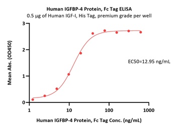 Human IGFBP-4 Protein, Fc Tag