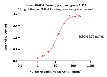 Human BMP-2 Protein