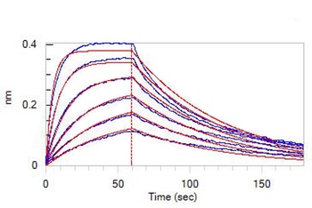 Human IFN-alpha / beta R1 Protein, Fc Tag