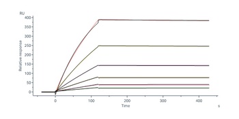 Human IL-27 Ra Protein, Fc Tag