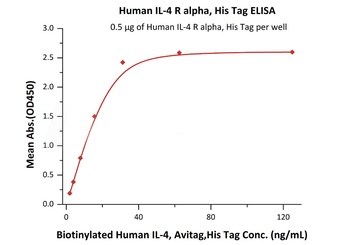 Human IL-4 R alpha Protein, His Tag