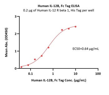 Human IL-12B Protein, Fc Tag
