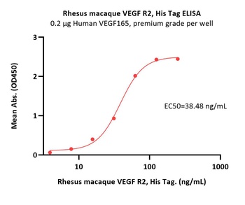 Rhesus macaque VEGF R2 Protein, His Tag
