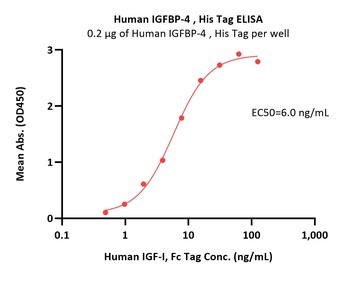Human IGFBP-4 Protein, His Tag