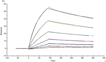 Human M-CSF Protein, His Tag