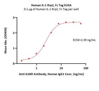 Human IL-1 Rrp2 Protein, Fc Tag