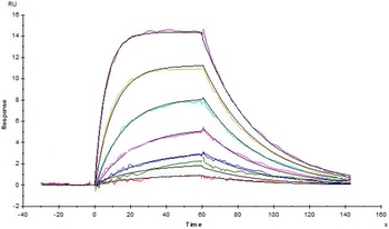 Human GM-CSF R alpha Protein, His Tag