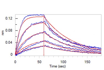 Human GM-CSF R alpha Protein, Fc Tag