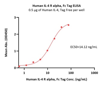 Human IL-4 R alpha Protein, Fc Tag