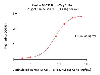 Canine M-CSF R Protein, His Tag